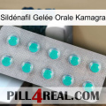 Sildénafil Gelée Orale Kamagra 28